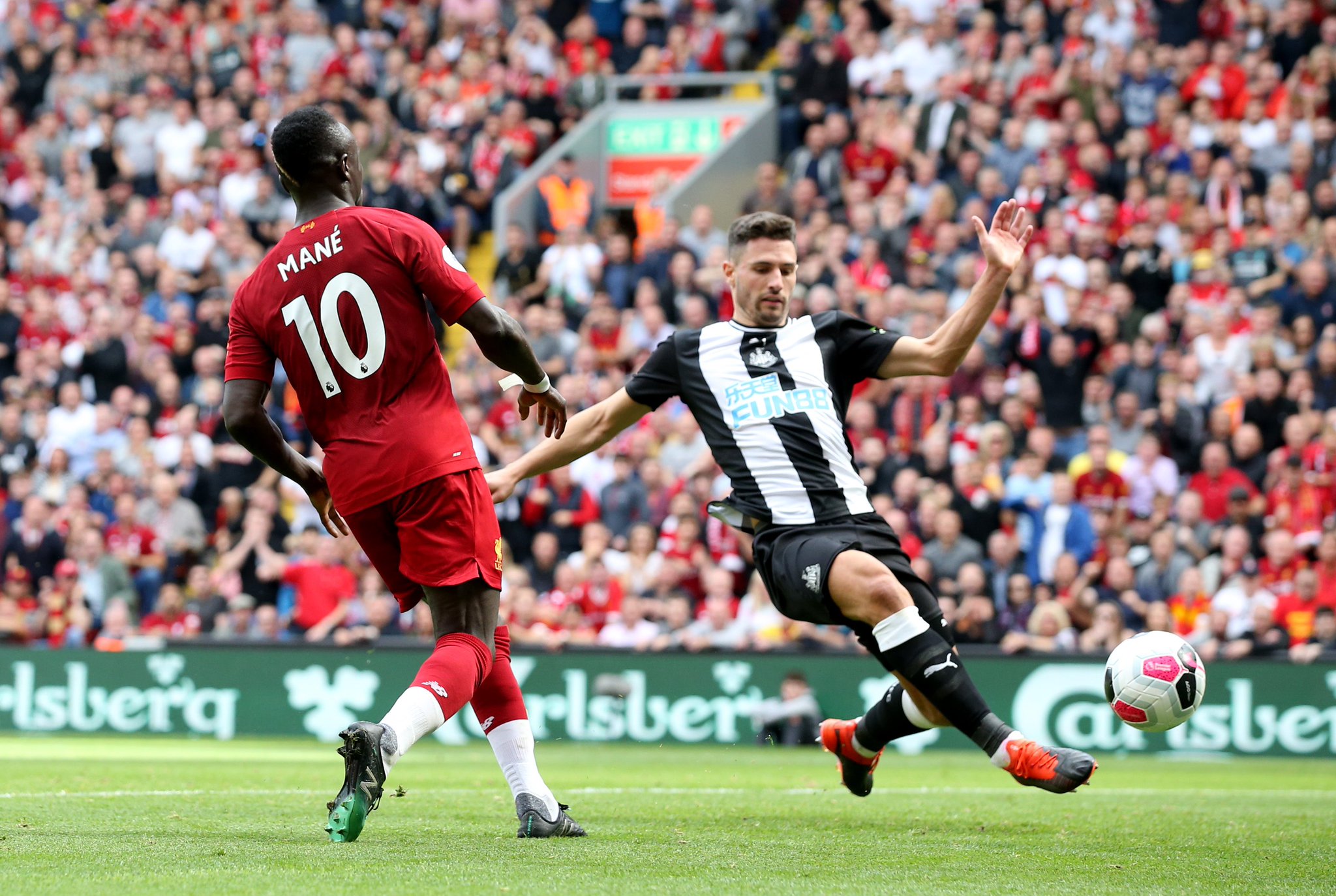 苹果种植产 苹果种植产